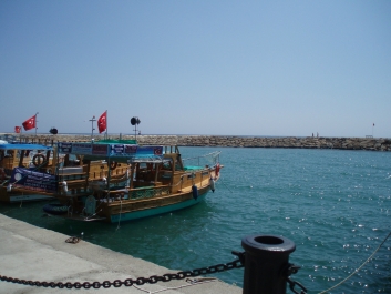 photo 845997