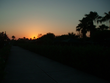 photo 846225