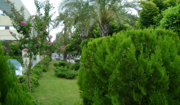 Парк в центре Кемера