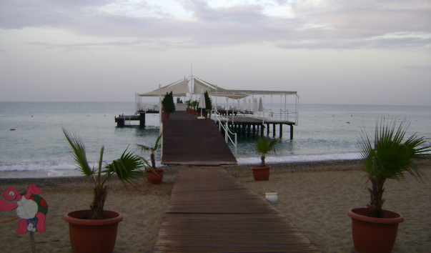 DSC05031
