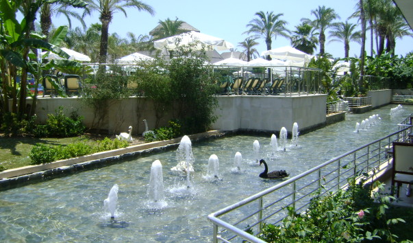 DSC05355