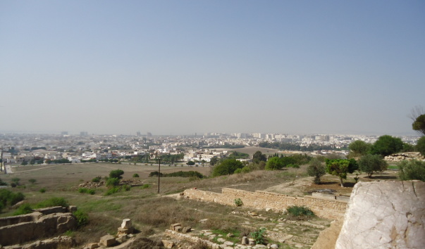 DSC03724