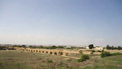 photo 1421382