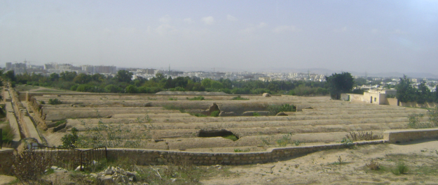 photo 1424029