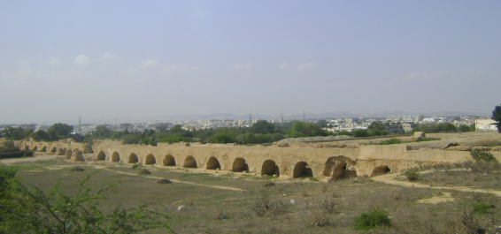 photo 1424030