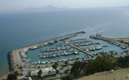 photo 1424217