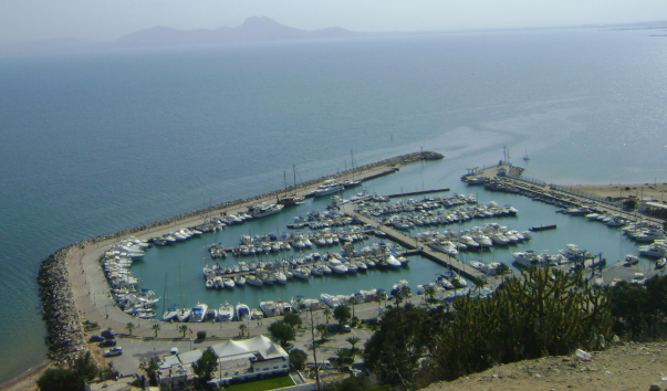 DSC08825