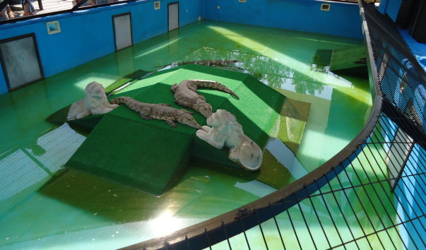 DSC05162