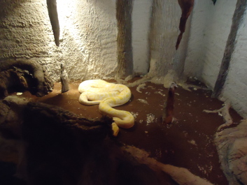 photo 1495662