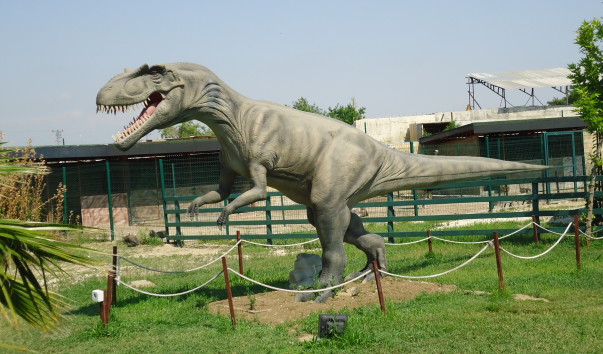 DSC05124