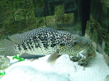 photo 1495670