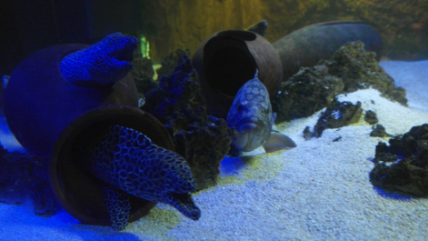 photo 1496539