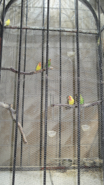 photo 1498616