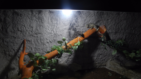 photo 1503744