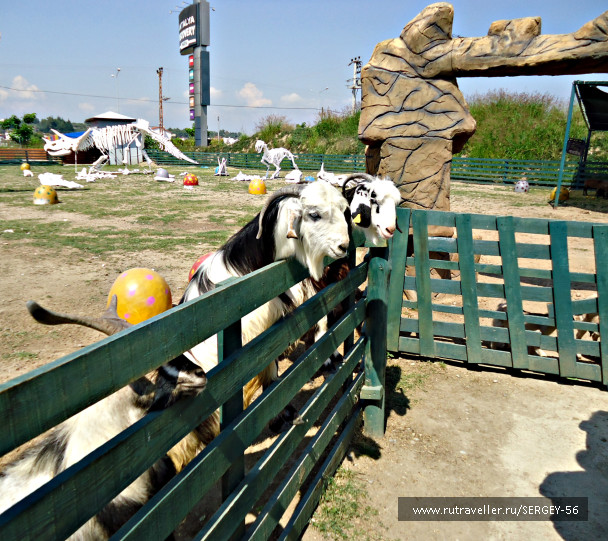 photo 1542346