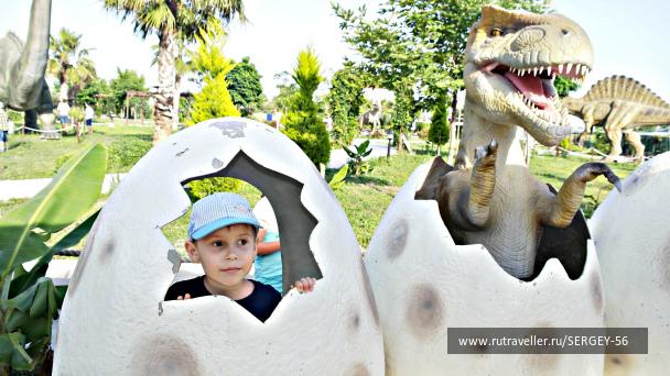 photo 1542348