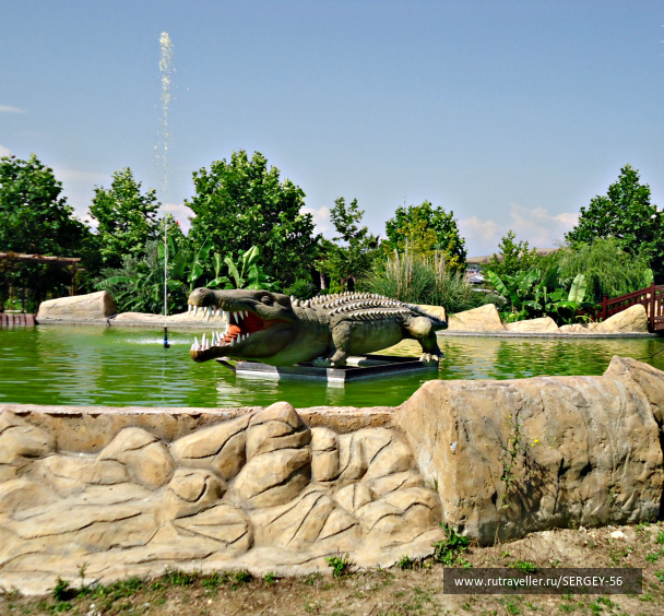 photo 1542351