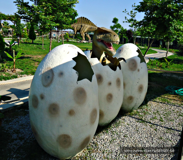 photo 1546201