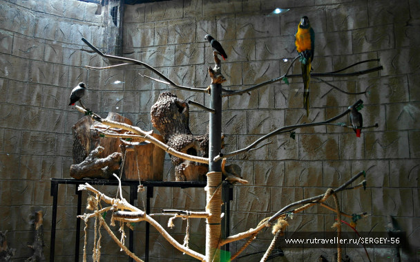 photo 1546202