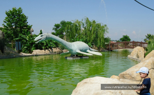photo 1546204