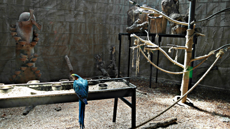 photo 1547966
