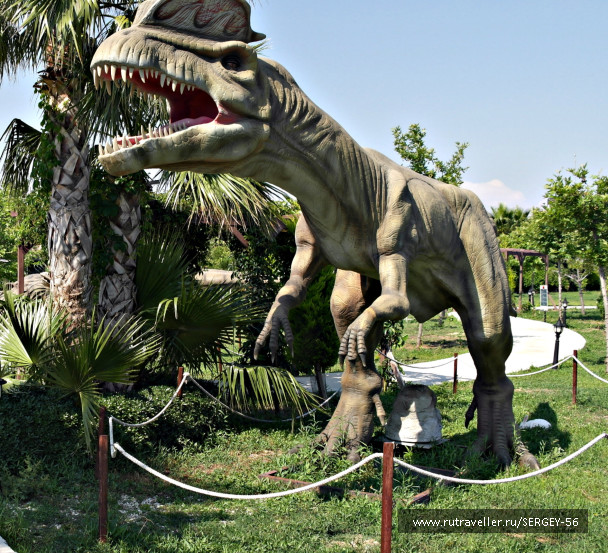 photo 1547969