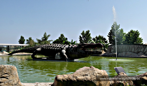 photo 1547971