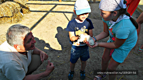 photo 1554159
