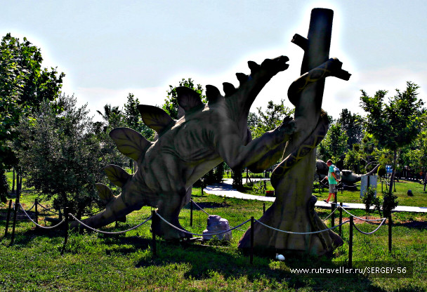 photo 1567578
