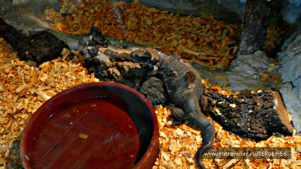 photo 1568160