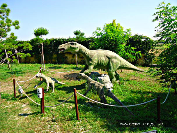 photo 1568161