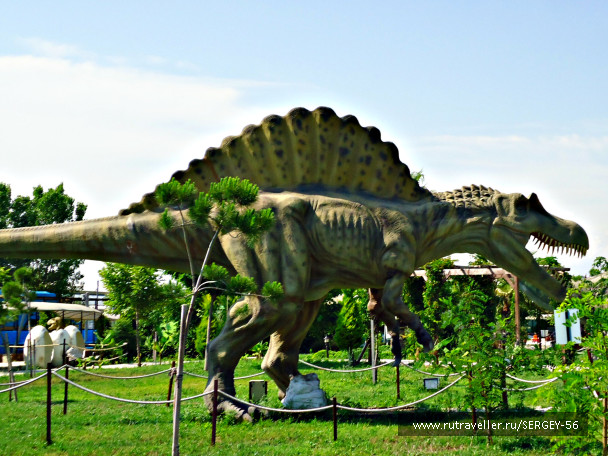 photo 1568163