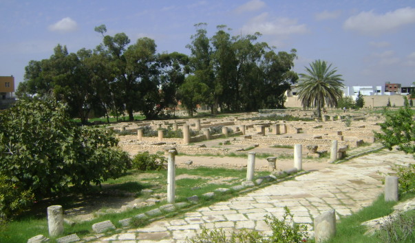 DSC09102
