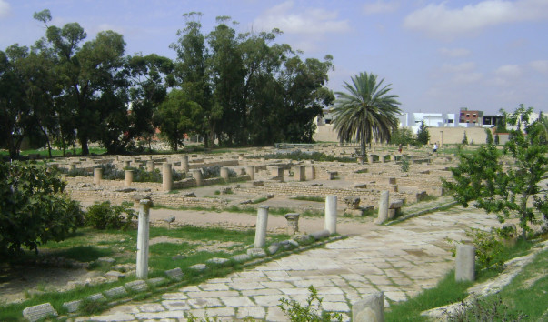 DSC09103