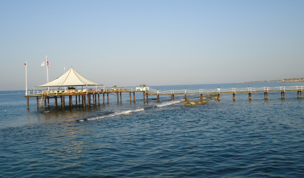 DSC05492