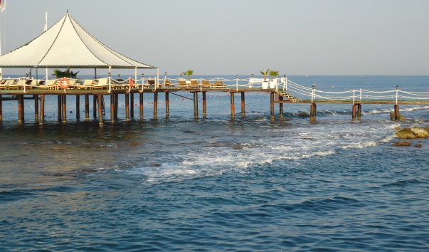 DSC05490