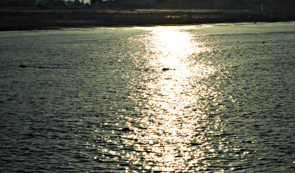 DSC05480