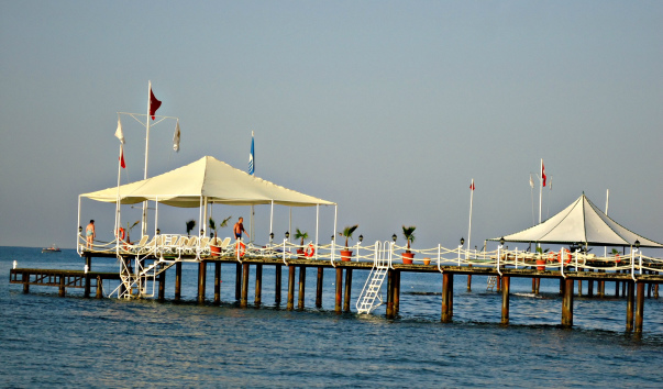 DSC05502