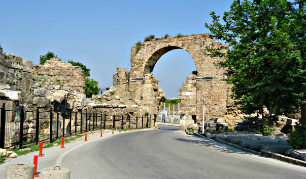 DSC05350 1