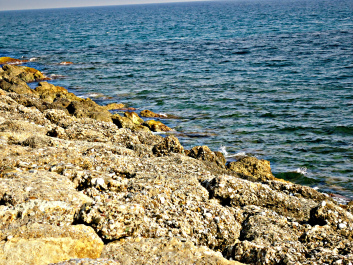 photo 1559715