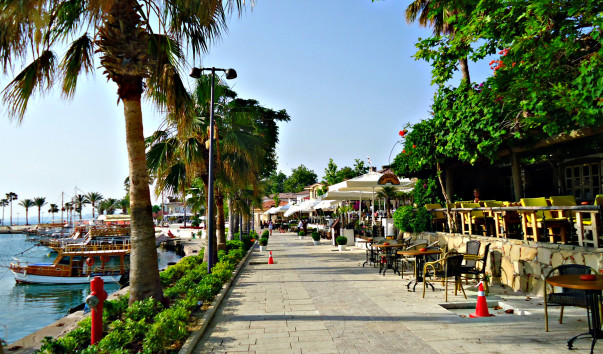 DSC05416 1