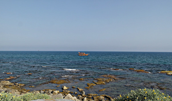 SAM_3008 1