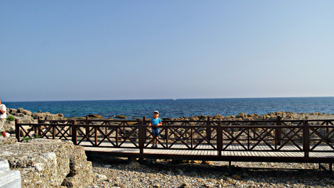 photo 1561852