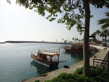 photo 1562552