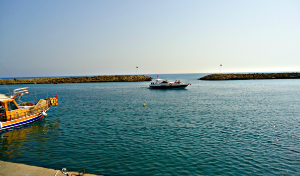 DSC05357 1