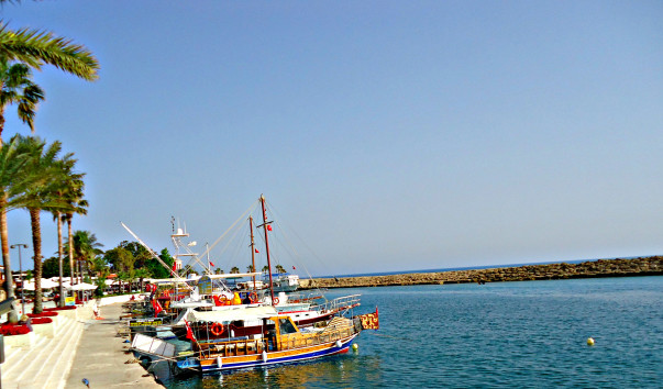 DSC05359