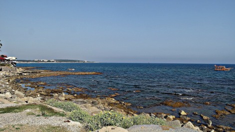 photo 1563281