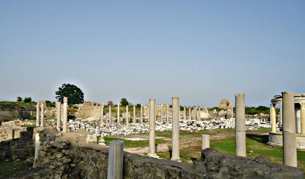 DSC05429 1