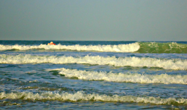 DSC06561 1