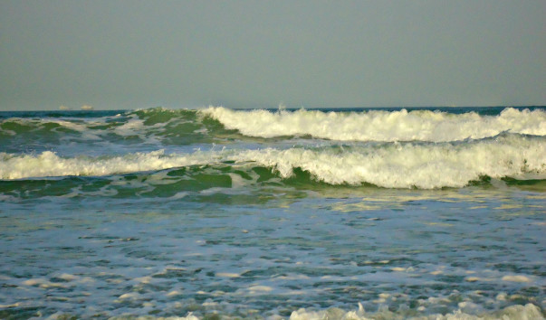 DSC06564 1